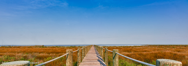 Pictures of North Carolina Cape Hatteras
