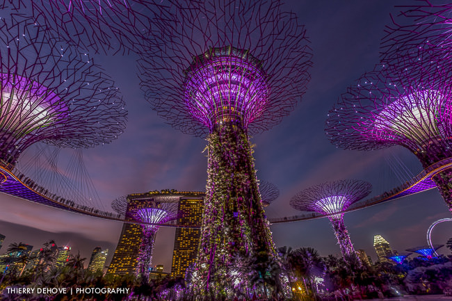 Singapore Photo Images