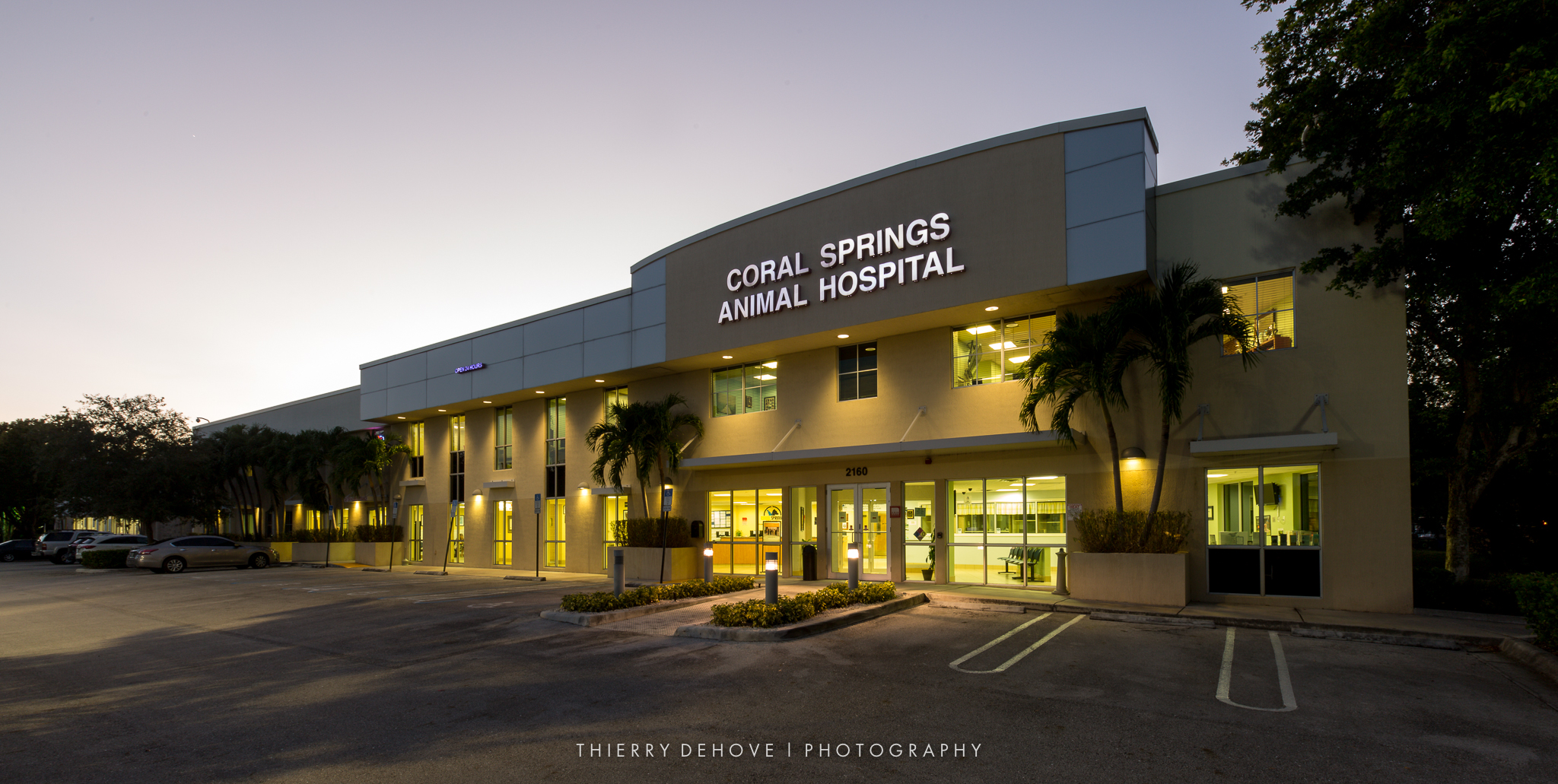 BEFORE: Coral Springs Animal Hospital