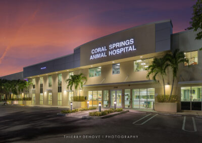 Coral Springs Animal Hospital