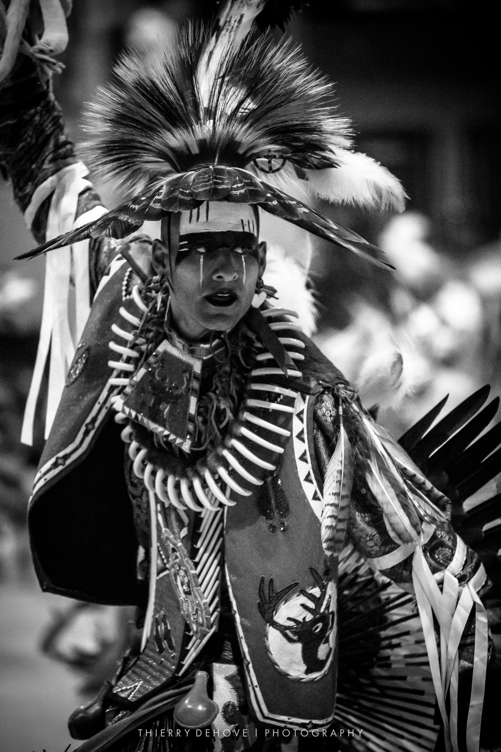Seminole Tribal Fair and Pow Wow 2018