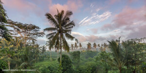 Travel films photos productions in Bali Indonesia