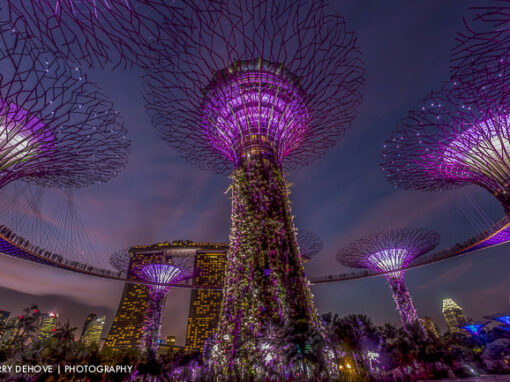 Singapore Photo Images