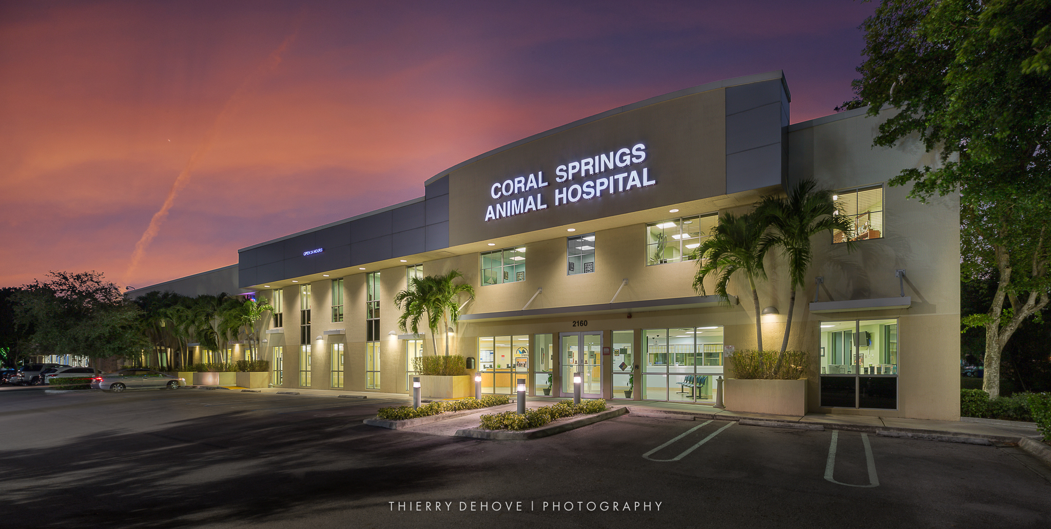 Coral Springs Animal Hospital.